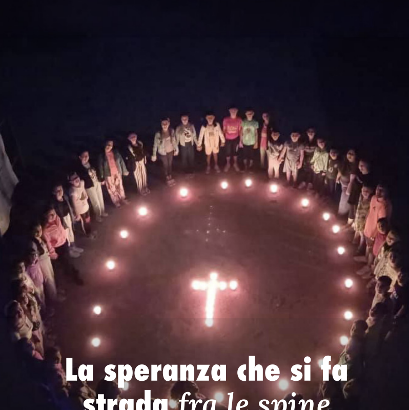 Eco dell'amore 7
